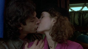 The Fly