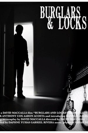 Burglars & Locks