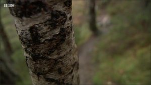 Imagen del episodio 3