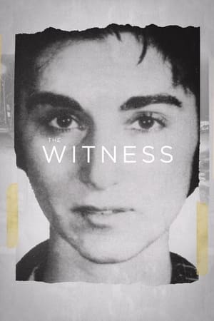Póster de la película The Witness