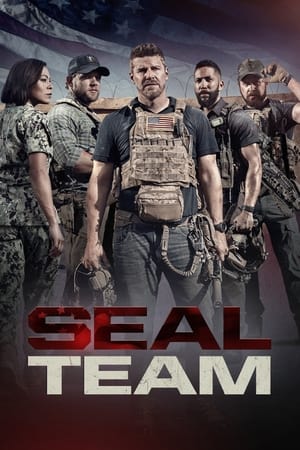 Póster de la serie SEAL Team
