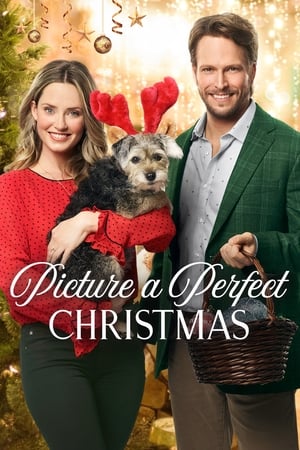 Póster de la película Picture a Perfect Christmas