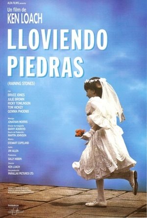 Póster de la película Lloviendo piedras