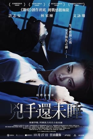 Póster de la película 兇手還未睡