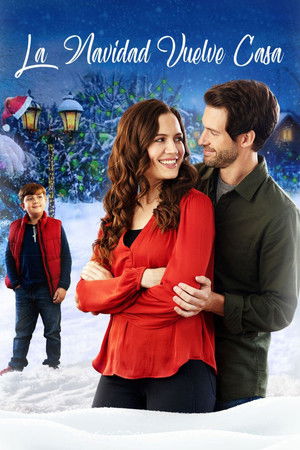 Póster de la película Navidad vuelve a casa