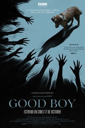 Póster de la película Good Boy