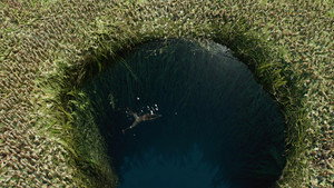 Life of Pi