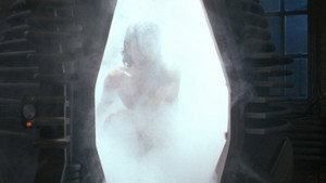 The Fly
