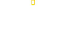Most Wanted Sharks