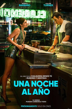 Póster de la película Una noche al año