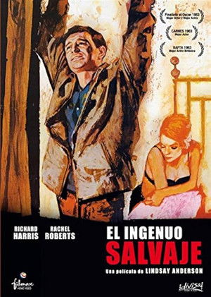 Póster de la película El ingenuo salvaje