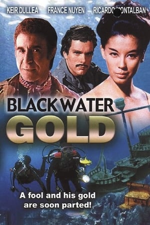 Póster de la película Black Water Gold