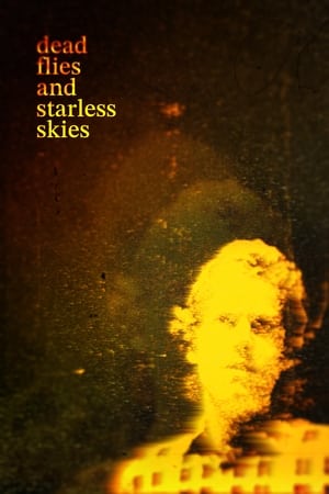 Póster de la película Dead Flies And Starless Skies