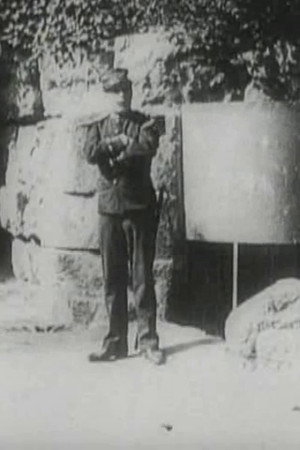 The Hierarchies of Love