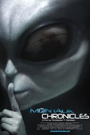 Póster de la película Montauk Chronicles