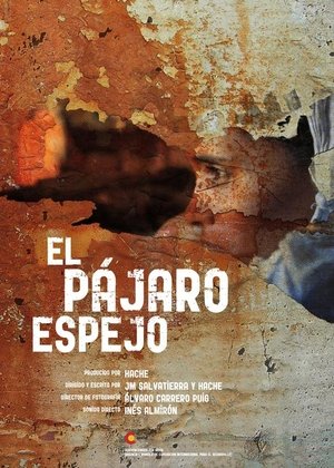 Póster de la película El pájaro espejo