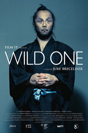Póster de la película Wild One