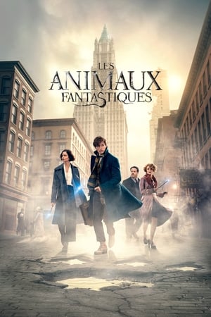 Film Les Animaux Fantastiques streaming VF gratuit complet