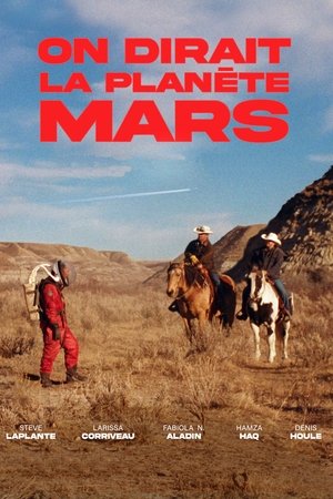 Póster de la película Viking