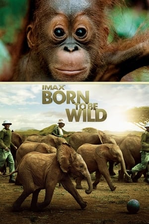 Póster de la película Born to Be Wild