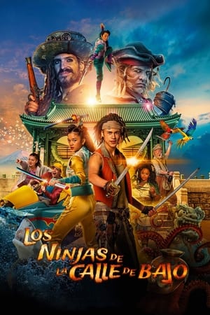 Póster de la película De Piraten van Hiernaast II: De Ninja's van de Overkant