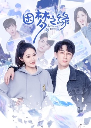 watch 因梦之缘 tv show free online poster