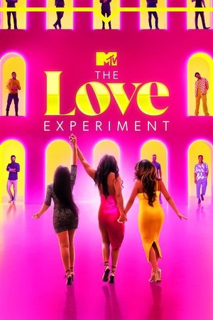 watch the love experiment tv show poster