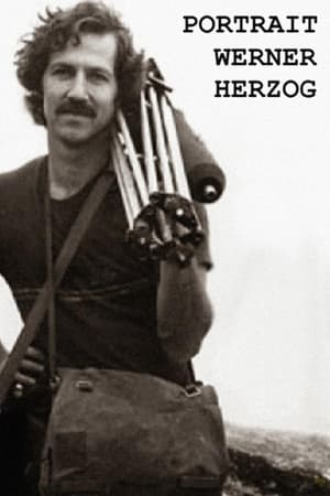 Póster de la película Retrato de Herzog