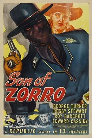 Póster de la película Son of Zorro