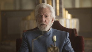 The Hunger Games: Mockingjay - Part 2