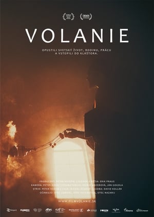 Póster de la película Volanie