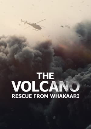 Póster de la película El volcán: Rescate en Whakaari