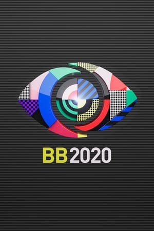 Póster de la serie Big Brother