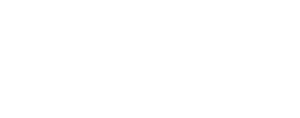 The Painter
