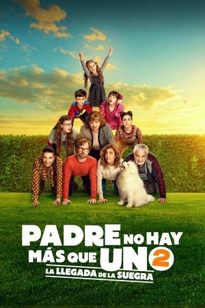 Póster de la película Padre no hay más que uno 2: la llegada de la suegra