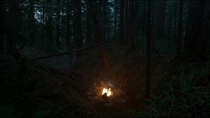 The Revenant