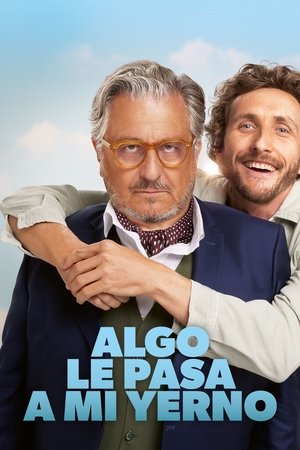 Póster de la película Algo le pasa a mi yerno