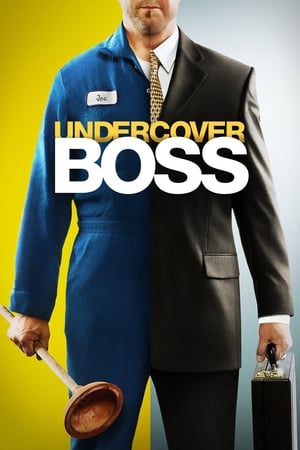 Póster de la serie Undercover Boss