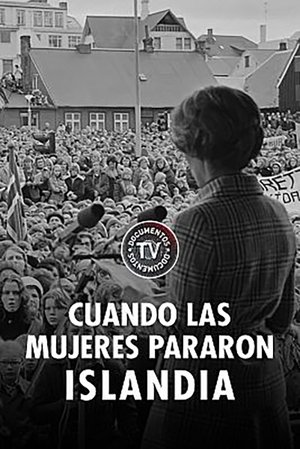 Póster de la película Cuando las mujeres pararon Islandia