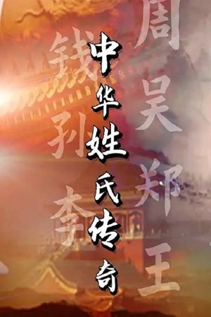 watch 中华姓氏传奇 tv show free online poster