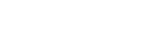 Vehículo 19