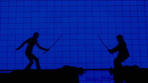 Kill Bill: The Whole Bloody Affair