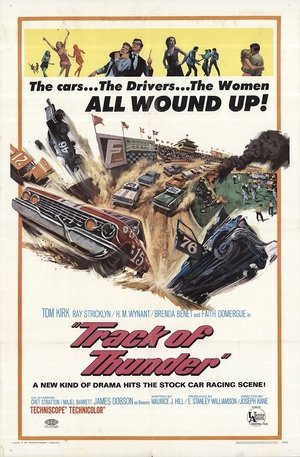 Póster de la película Track Of Thunder