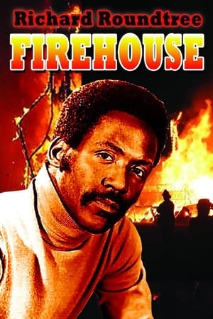 Póster de la película Firehouse