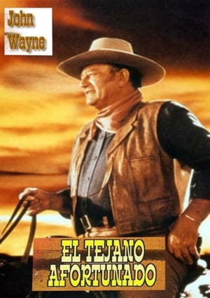 Póster de la película El tejano afortunado