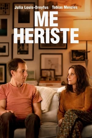 Póster de la película You hurt my feelings