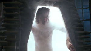 The Fly