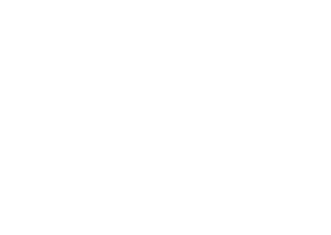 Born Racer
