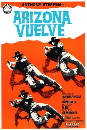 Póster de la película Arizona vuelve