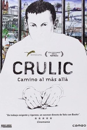 Póster de la película Crulic, camino al más allá